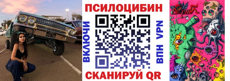 Галлюциногенные грибы Psilocybe  ссылка на мегу зеркало  Харабали 